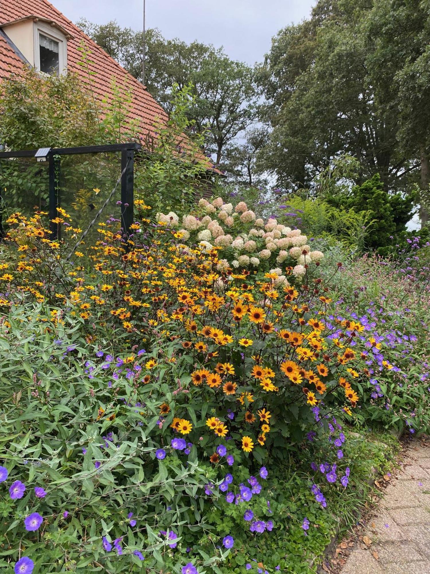 De Viersprong Bed & Breakfast Laren  Dış mekan fotoğraf